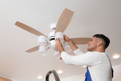 Basement Ceiling Fan Installation - Basement Renovation And Remodeling Services Troy, Michigan